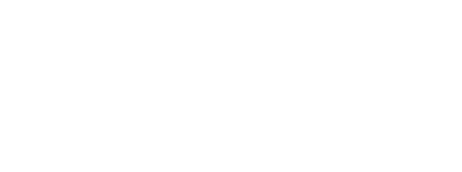 Netrunbot Logo